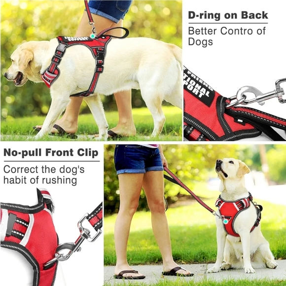 Winsee Red Service Dog Harness with Patches - Picture 6 of 8